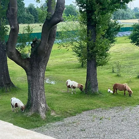 住宿加早餐酒店 Iris