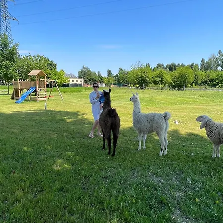 Bed & Breakfast Iris 4*