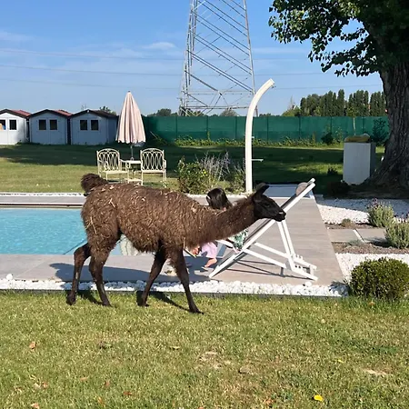 Iris Bed & Breakfast Modena