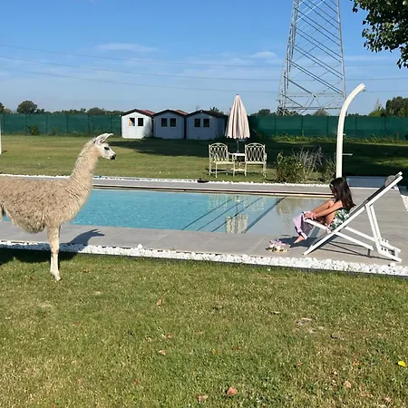 Bed & Breakfast Iris Modena