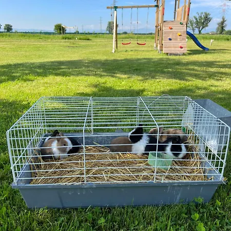 Iris 住宿加早餐酒店