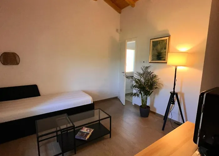 Iris Готель типу 