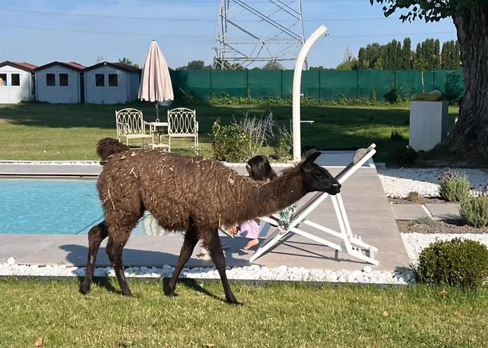 Iris Готель типу 